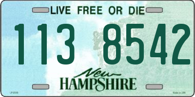 NH license plate 1138542