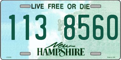 NH license plate 1138560