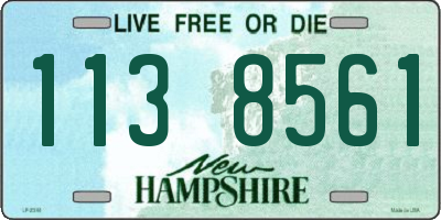 NH license plate 1138561