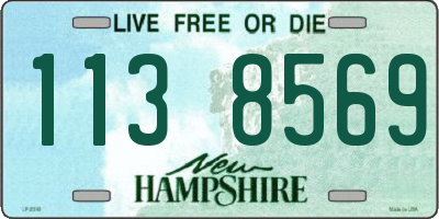 NH license plate 1138569