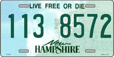 NH license plate 1138572