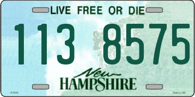 NH license plate 1138575