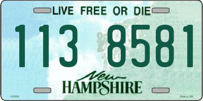 NH license plate 1138581