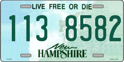 NH license plate 1138582