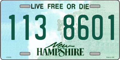 NH license plate 1138601