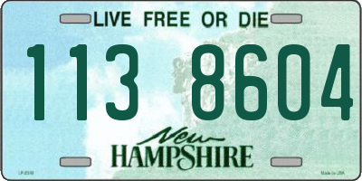 NH license plate 1138604