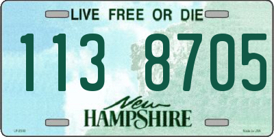 NH license plate 1138705
