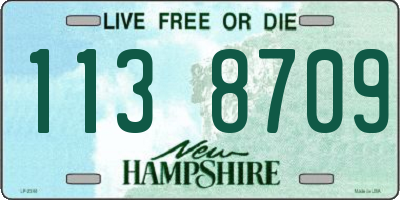 NH license plate 1138709