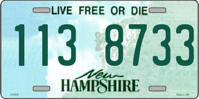 NH license plate 1138733