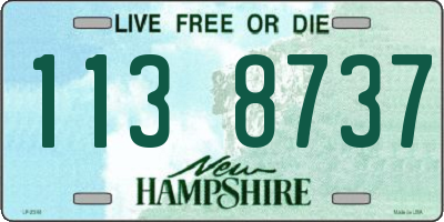 NH license plate 1138737