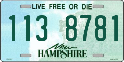NH license plate 1138781