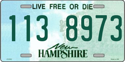 NH license plate 1138973