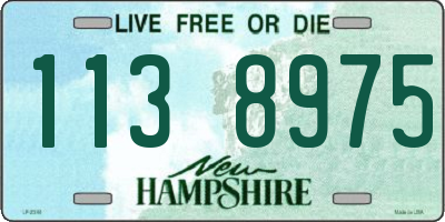 NH license plate 1138975