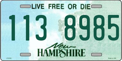 NH license plate 1138985