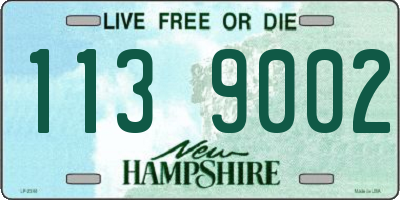 NH license plate 1139002