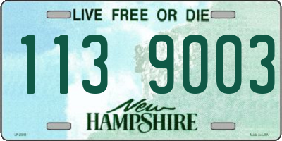 NH license plate 1139003