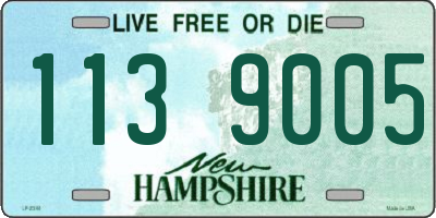 NH license plate 1139005