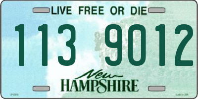 NH license plate 1139012