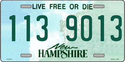 NH license plate 1139013