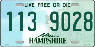 NH license plate 1139028