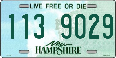 NH license plate 1139029