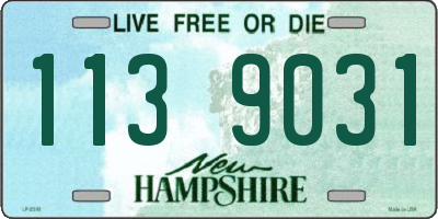 NH license plate 1139031