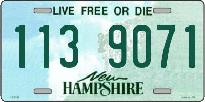 NH license plate 1139071
