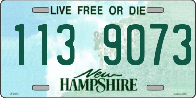 NH license plate 1139073