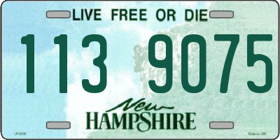 NH license plate 1139075