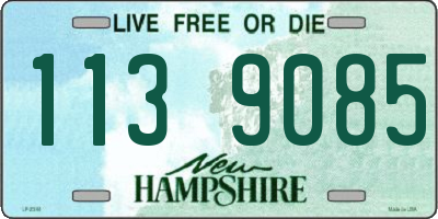 NH license plate 1139085