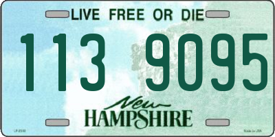 NH license plate 1139095