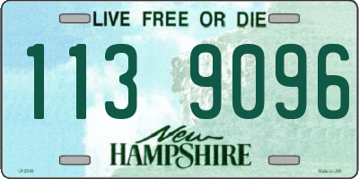 NH license plate 1139096