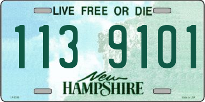 NH license plate 1139101