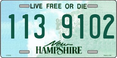 NH license plate 1139102