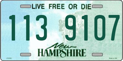 NH license plate 1139107