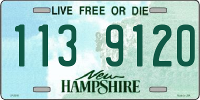 NH license plate 1139120