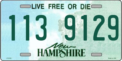 NH license plate 1139129