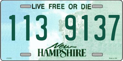 NH license plate 1139137