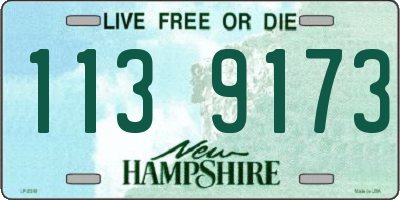 NH license plate 1139173