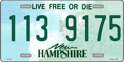 NH license plate 1139175