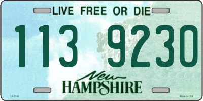 NH license plate 1139230