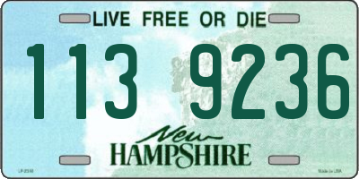 NH license plate 1139236