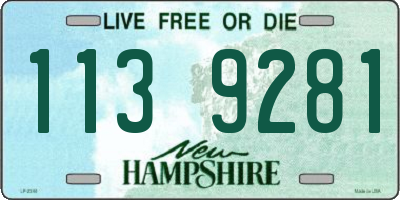 NH license plate 1139281