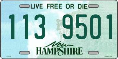NH license plate 1139501