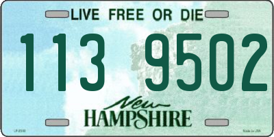 NH license plate 1139502