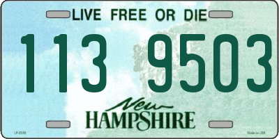 NH license plate 1139503