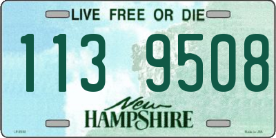 NH license plate 1139508