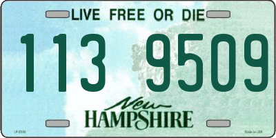 NH license plate 1139509
