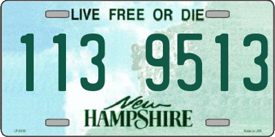NH license plate 1139513