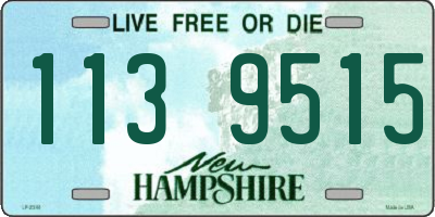 NH license plate 1139515